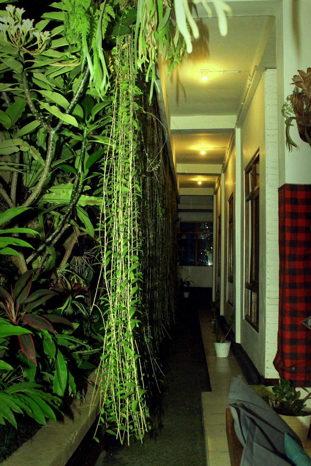 بيت شباب Friendly House Bali أوبود المظهر الخارجي الصورة